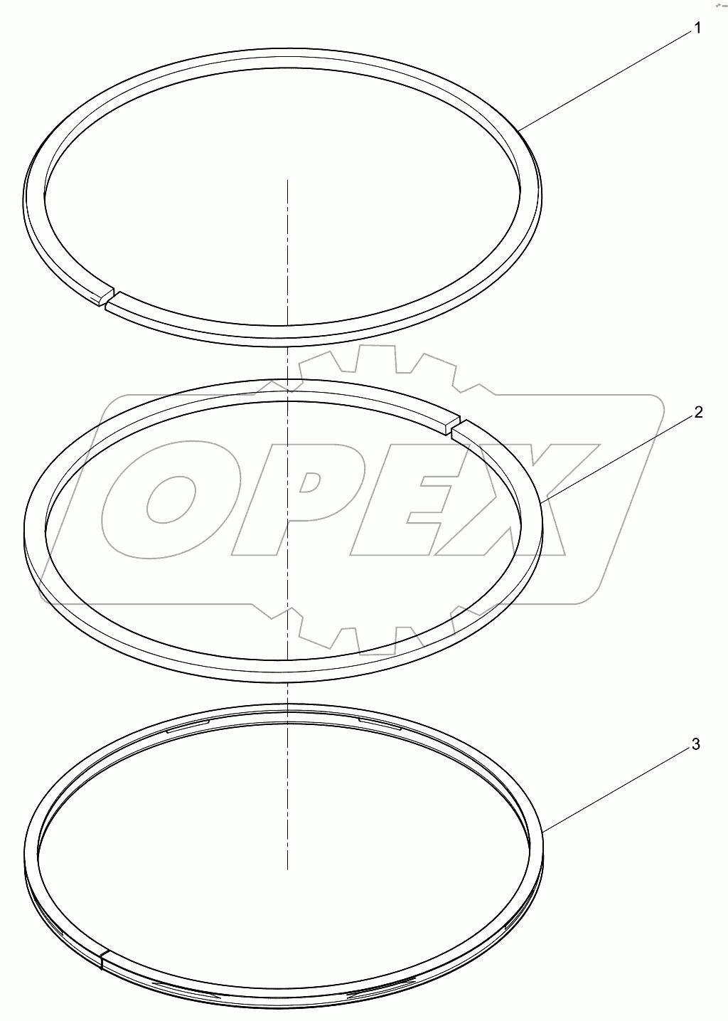  Piston ring assembly