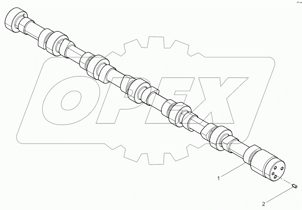  Camshaft Assembly