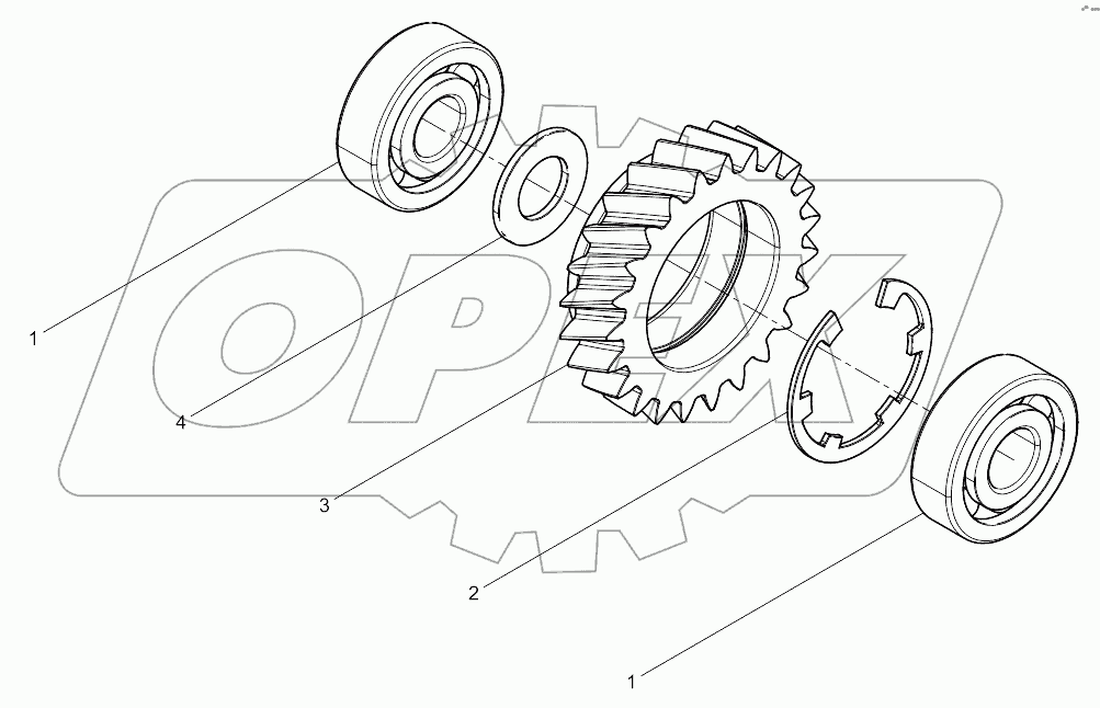  Oil Pump Idle Gear Set