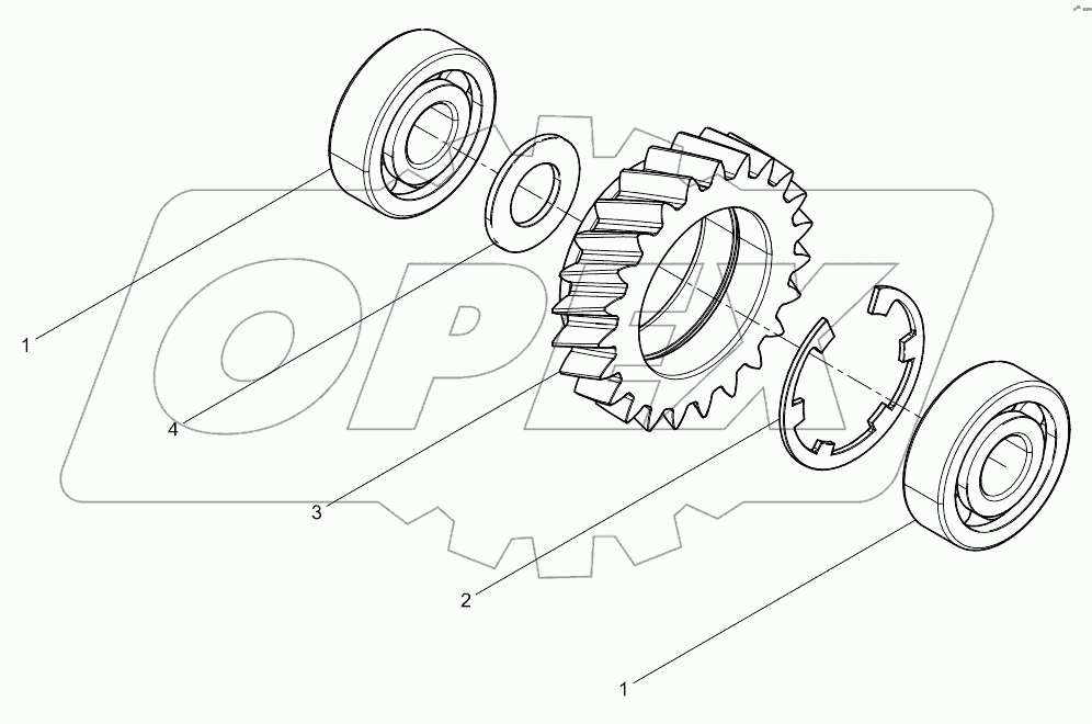 Oil Pump Idle Gear Assembly