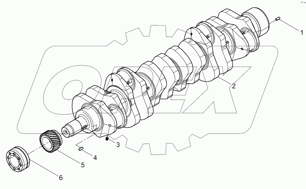  Crankshaft assembly