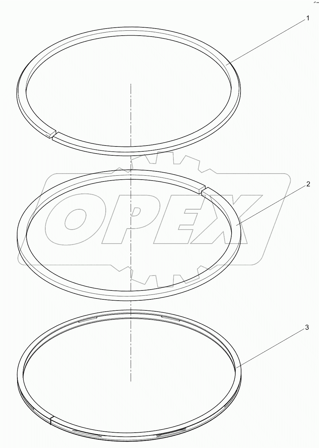  Piston ring assembly