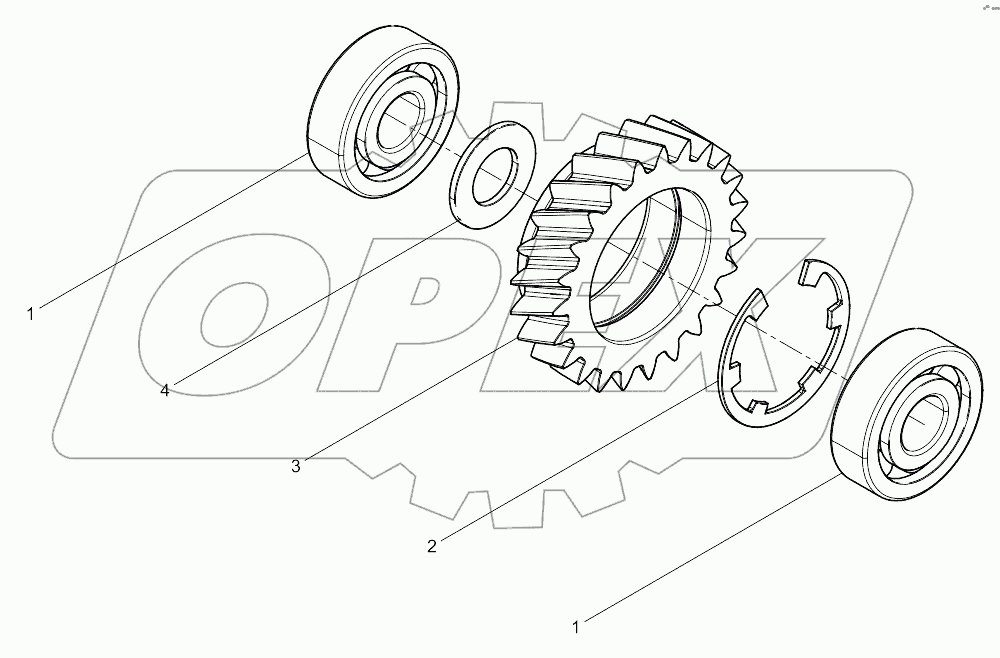  Oil Pump Idle Gear Set