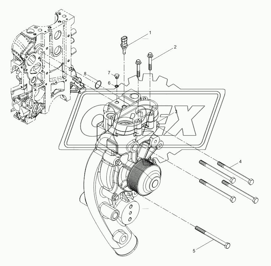 Water pump assembly