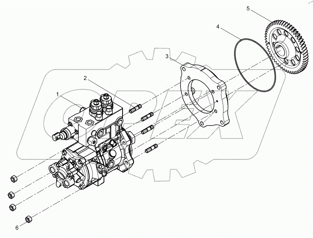  Fuel Injection Pump  Set