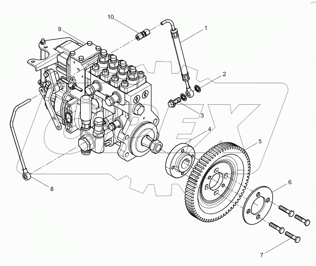  Fuel Injection Pump Assembly