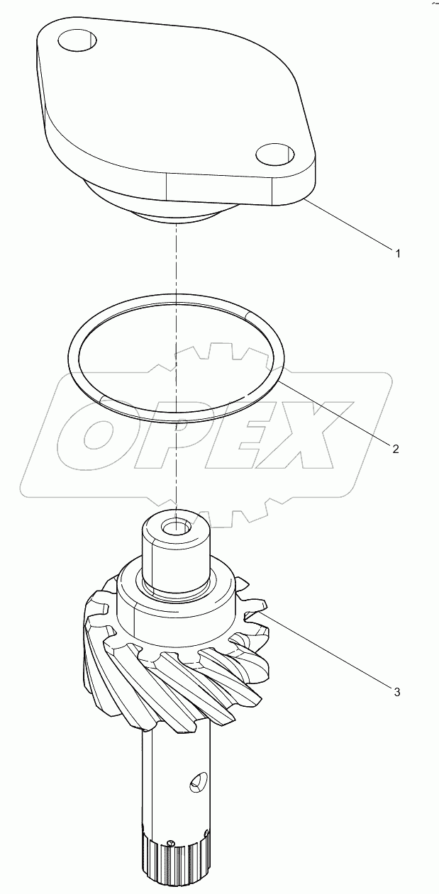  Oil Pump Drivien Gear