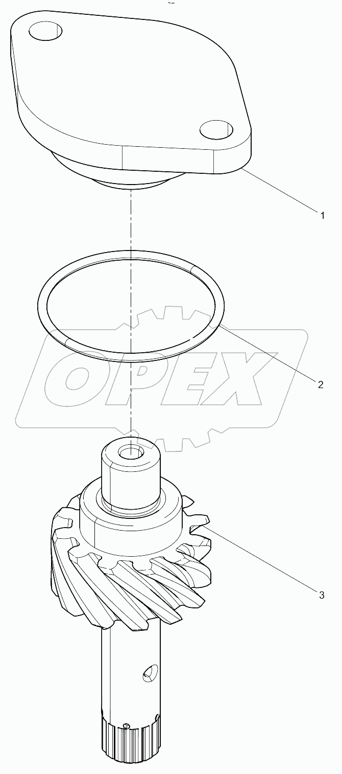  Oil Pump Drivien Gear