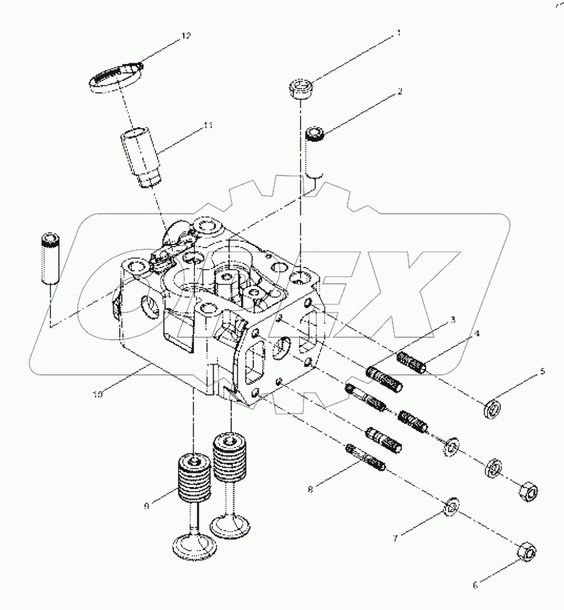  13021396+001 Cylinder head subassembly
