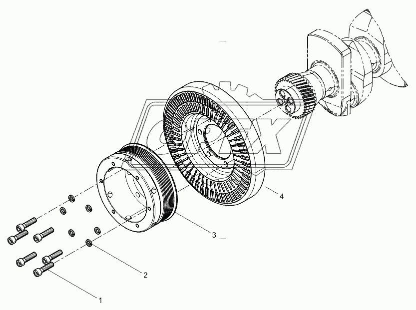 Pulley assembly with shock absorber