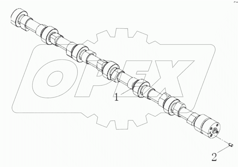  Camshaft assembly