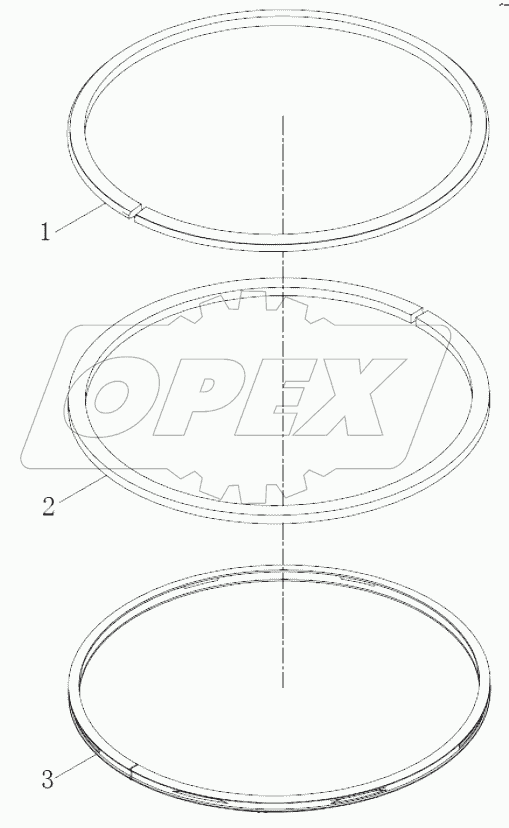  Piston ring assembly