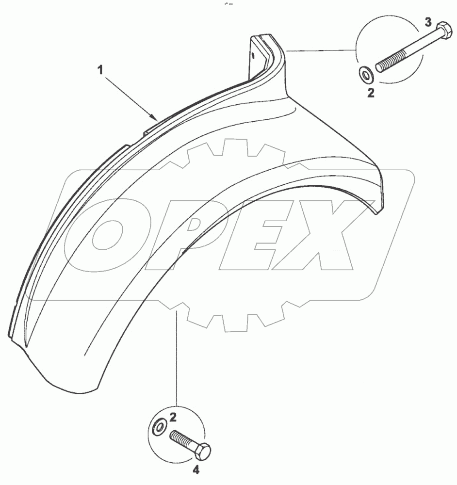  Крылья задние