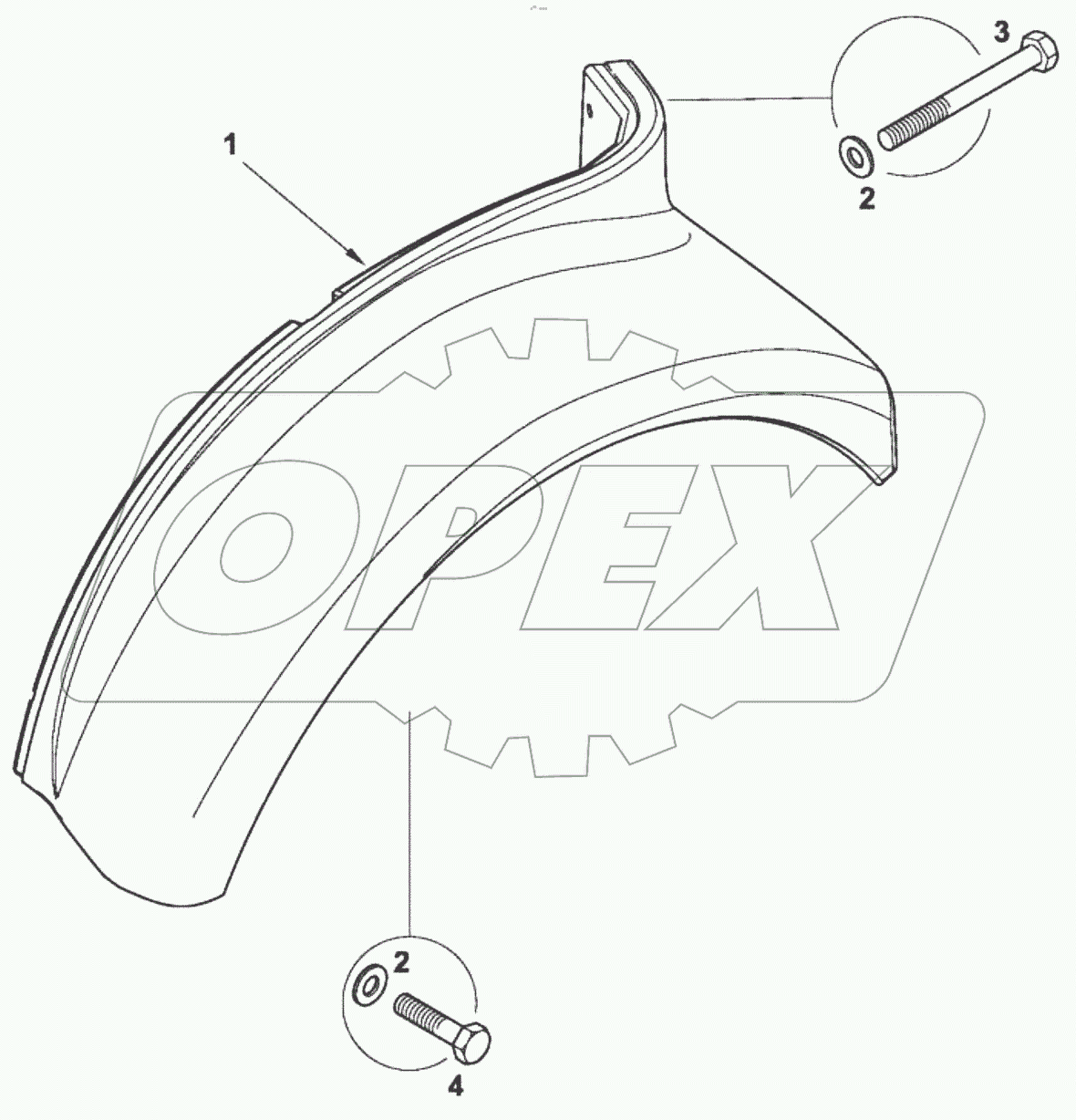  Крылья задние