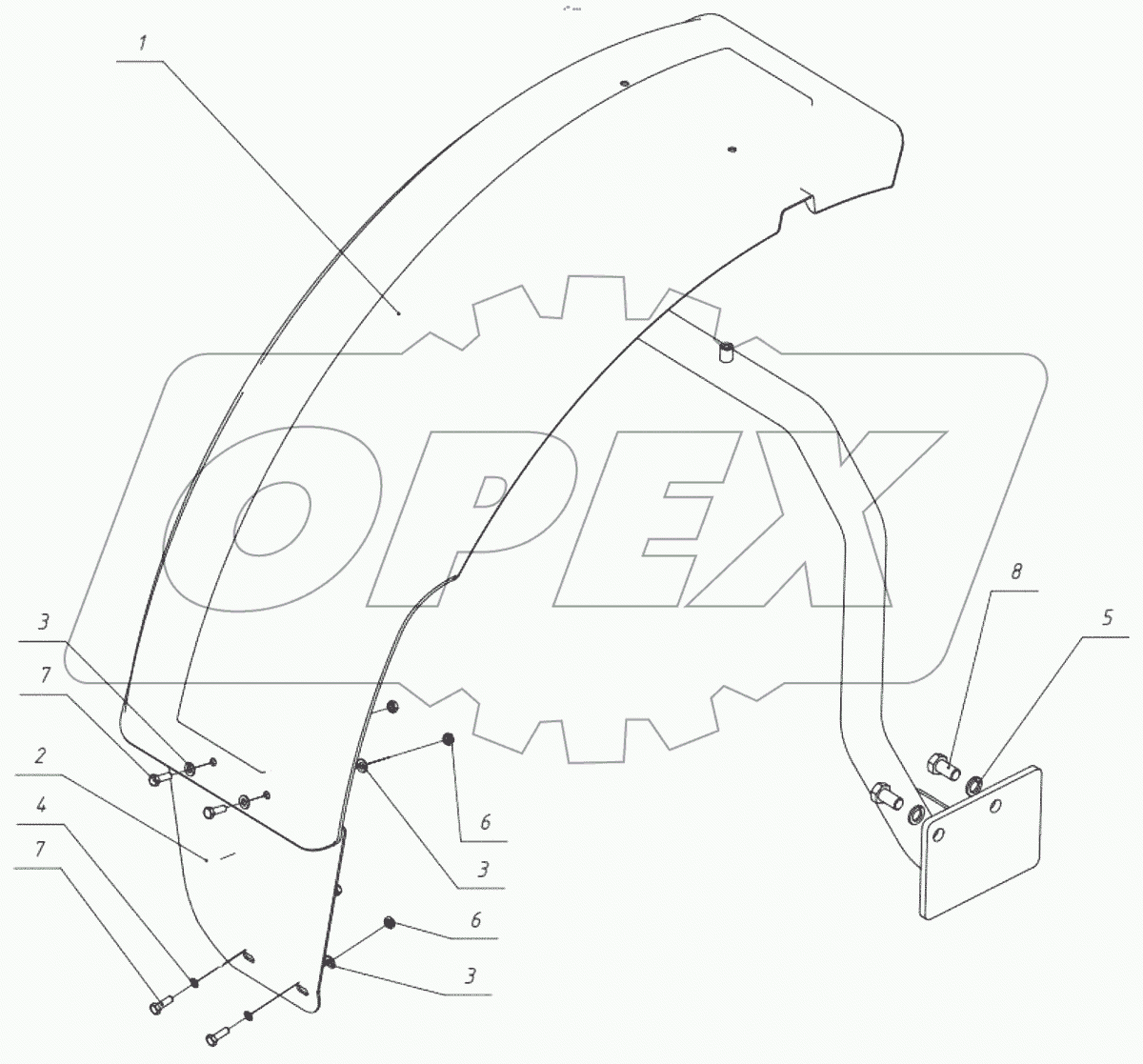  Передние крылья