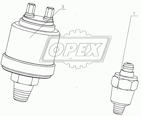 D30-3800000 Gauge assembly