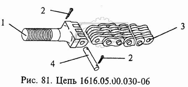 Цепь 1616.05.00.030-06