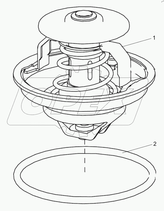  ENGINE (WATER PUMP AND FAN) D1000000182_102290Y