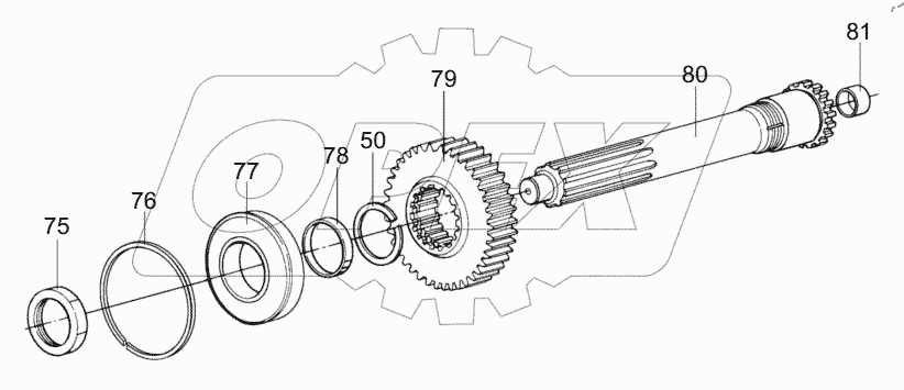  TRANSMISSION (AXLE 1 ASSY) D1030300100_101250Y