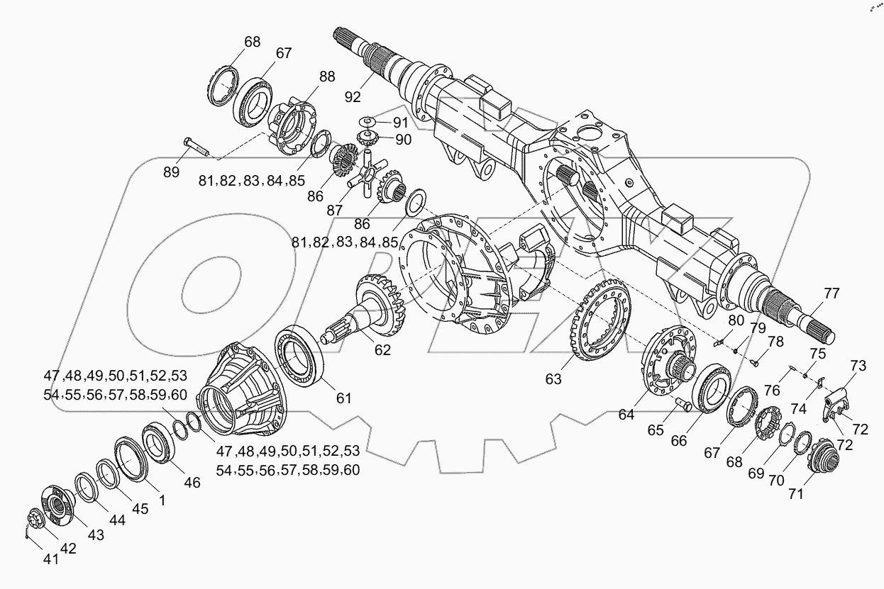  DRIVE AXLE (REAR AXLE DRIVE DEVICE) D1030100716_102293Y