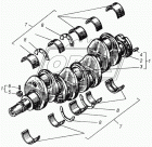 А23.01-98-20/22СбР4 Вкладыши коренные ТЗПС