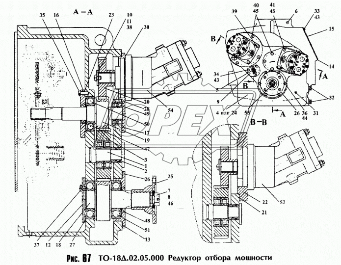 ТО-18Д.02.05.060 Шестерня АМКОДОР