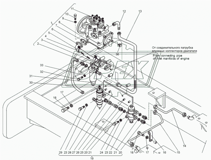 067.42.11.058 Бонка