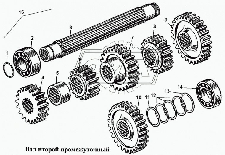 50-12-643 Шестерня вала 2-го промежуточного z=24 ТТС