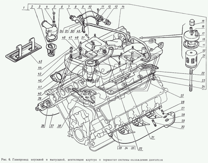 292756-П29 Гайка С/И М8х1,5; колпачковая клапанной крышки Д-542 ГАЗ-3309,4301 ГАЗ