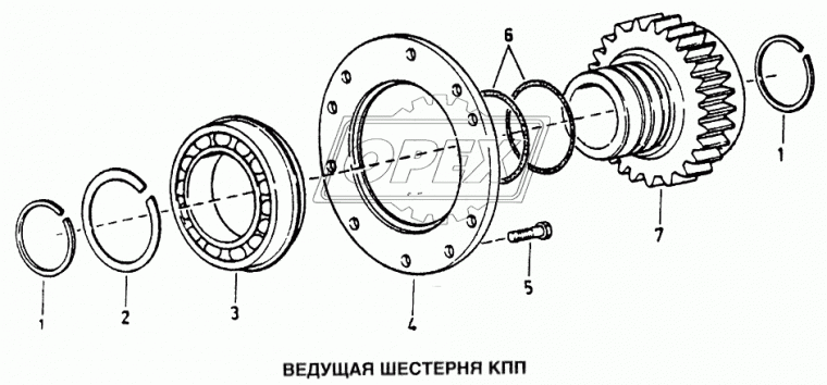 JS180-1707030 Шестерня ведущая демультипликатора(Китайская КПП 9 ступ. Для МАЗ)
