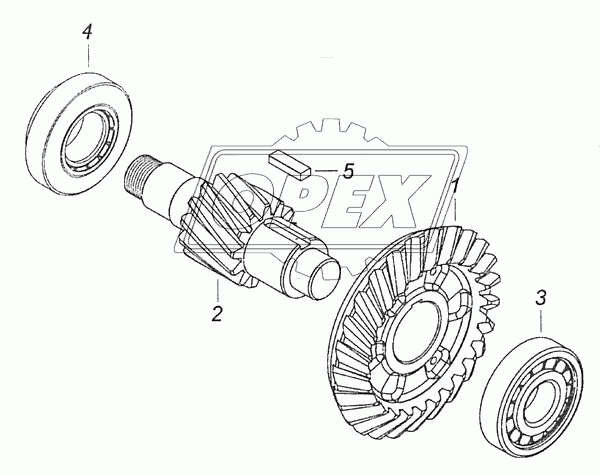 65115-2402110-50 Шестерня ведущая цилиндрическая z=16 КАМАЗ Е-3 КАМАЗ