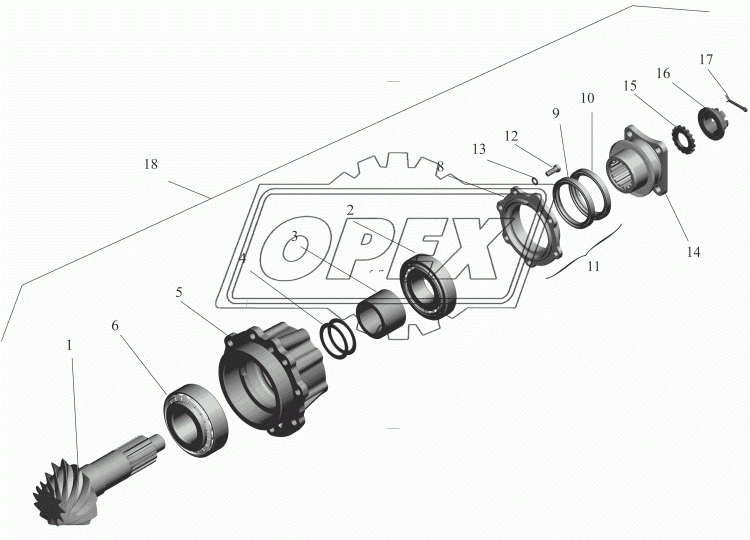 4370-2402017-020 Шестерня ведущая МАЗ
