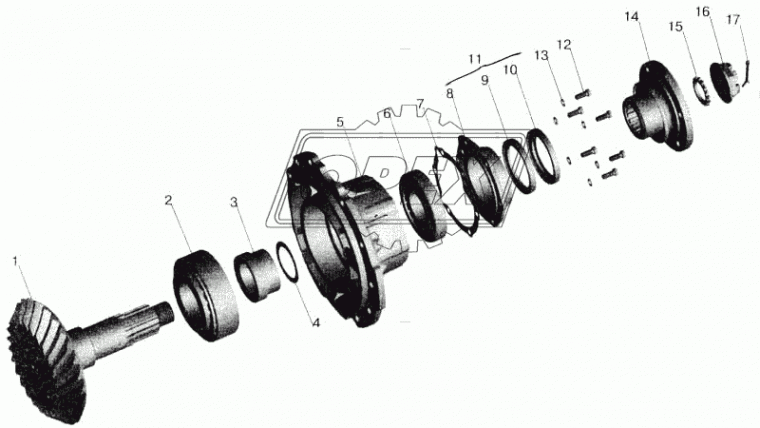 54326-2402017-030 Шестерня ведущая ЗМ МАЗ
