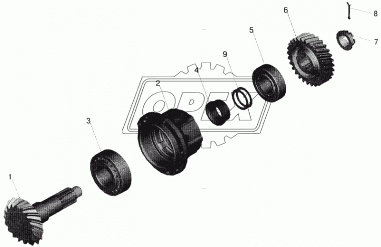 64222-2502017-020 Шестерня ведущая (U=4.84; 5.49) МАЗ