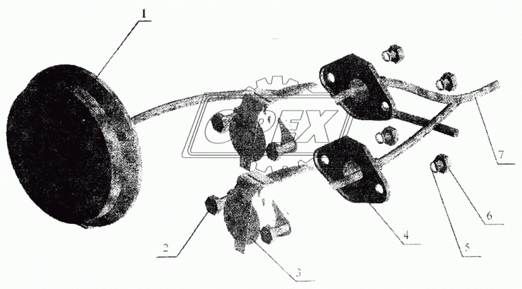 252195 Шайба с внеш.зубьями (сталь) ф16х24х2 пружинная ГОСТ10463 (0х0х4) ЭТНА
