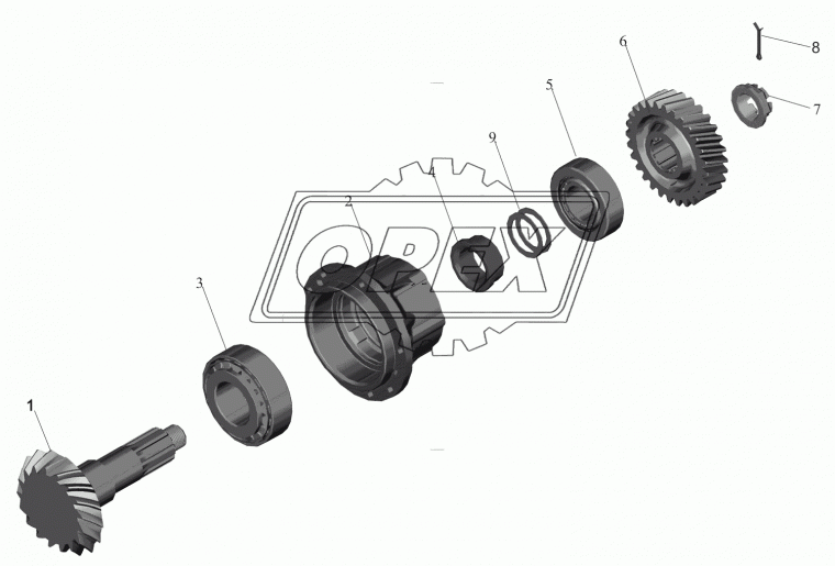 64221-2502158-010 Шестерня ведомая Dшл=52х6.0мм h=60 косой z=23 16 шлицов МАЗ