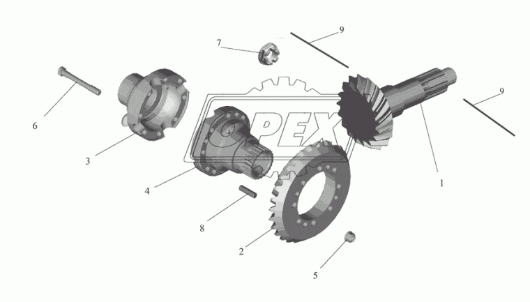 54323-2402020-030 Шестерня ведущая и ведомая (к-кт) z=15х24 (U=5.49) МАЗ