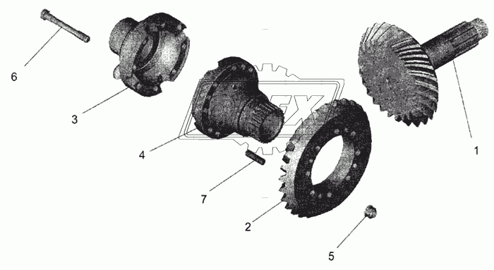 643012-2402017-010 Шестерня ведущая ЗМ (U=4.2) МАЗ