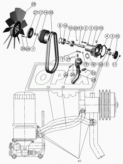 245-1307010А1-11 Насос водяной (шкив 3-х руч.) Д-245.43С2, 245.5С2(тракт.вар.МТЗ (Е2) БЗА