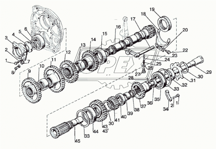 80-1701214-01 Шестерня КПП z=40 МТЗ-1221 МТЗ РУП