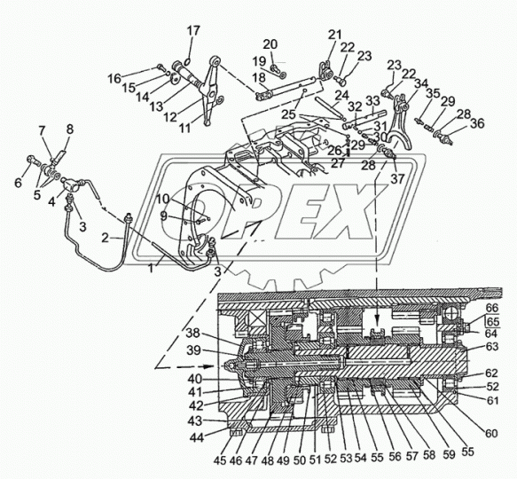 2022-1701351 Шестерня z=21; шлиц=24; ф60 МТЗ РУП