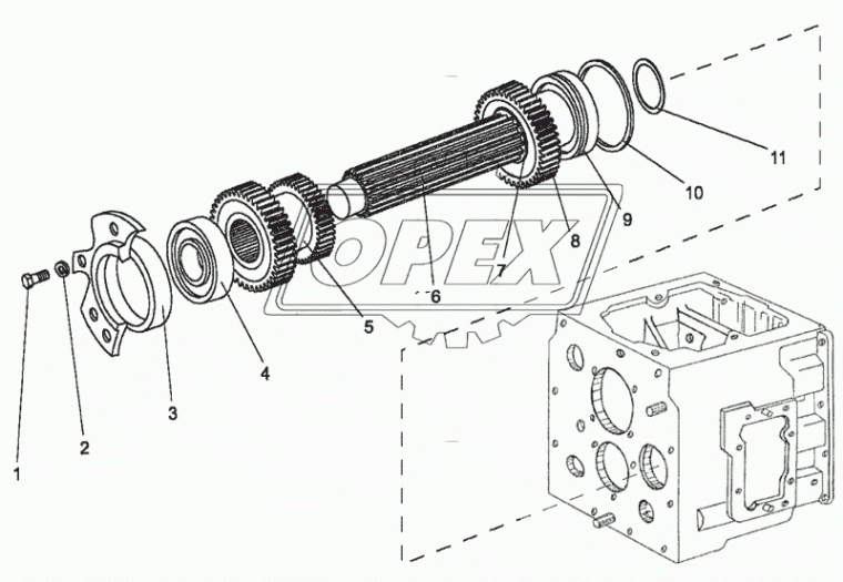 МЛ127-1701021 Шестерня МТЗ РУП