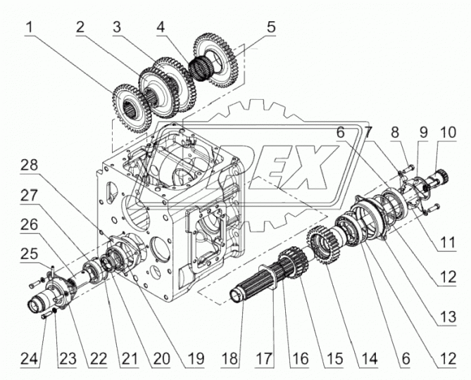 Ф50-1701065-А Шестерня ведущая, z=26, z=43, двойная с шайбами МТЗ РУП