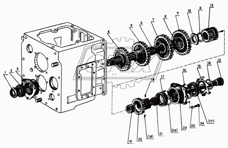50-1701196 Шестерня 1-й ступени редуктора ведущая МТЗ z=20/20; (внутренний шлиц-длинный) МЗШ