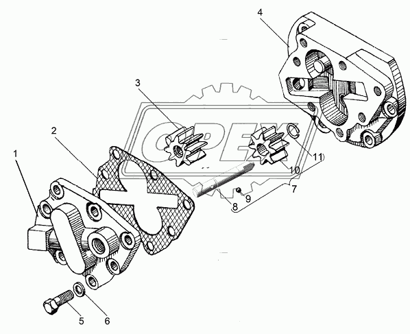 336.1704030 Шестерня ведомая с втулкой Z=8 фвнутр=14; h=20 ЯМЗ