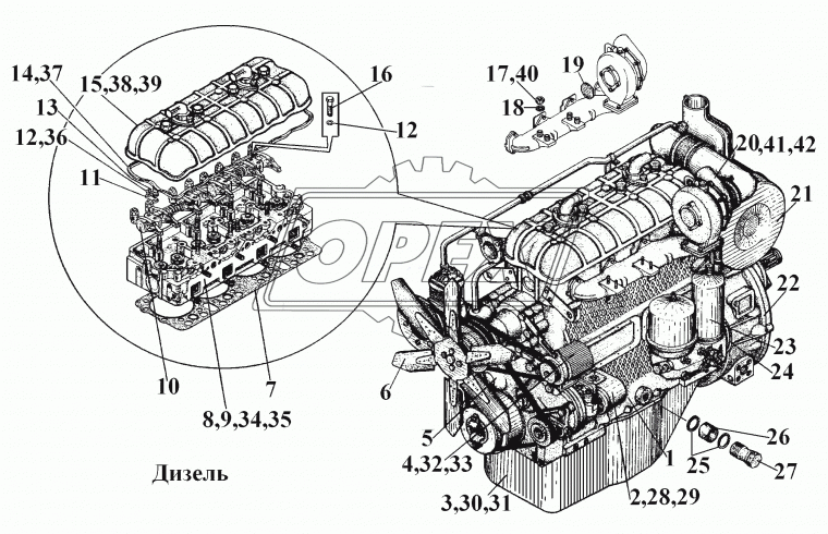442-22-13с1-1 Насос водяной и вентилятор АлтайДизель