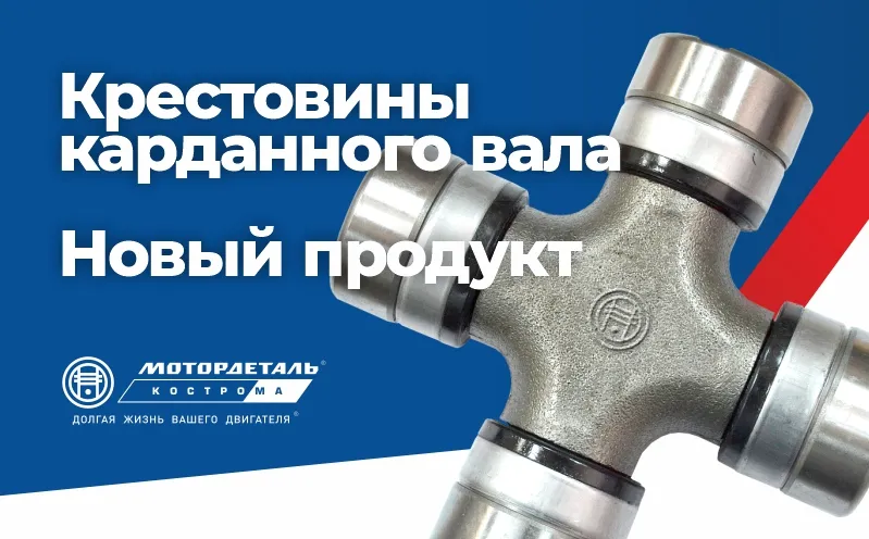 830nom6ciek605hm48z7p2l7uhk7v.jpg 830nom6ciek605hm48z7p2l7uhk7v.jpg