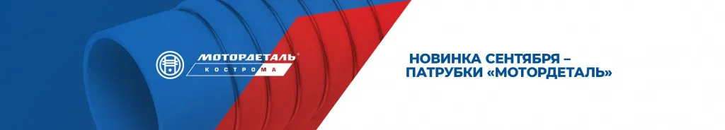 новинки сентября