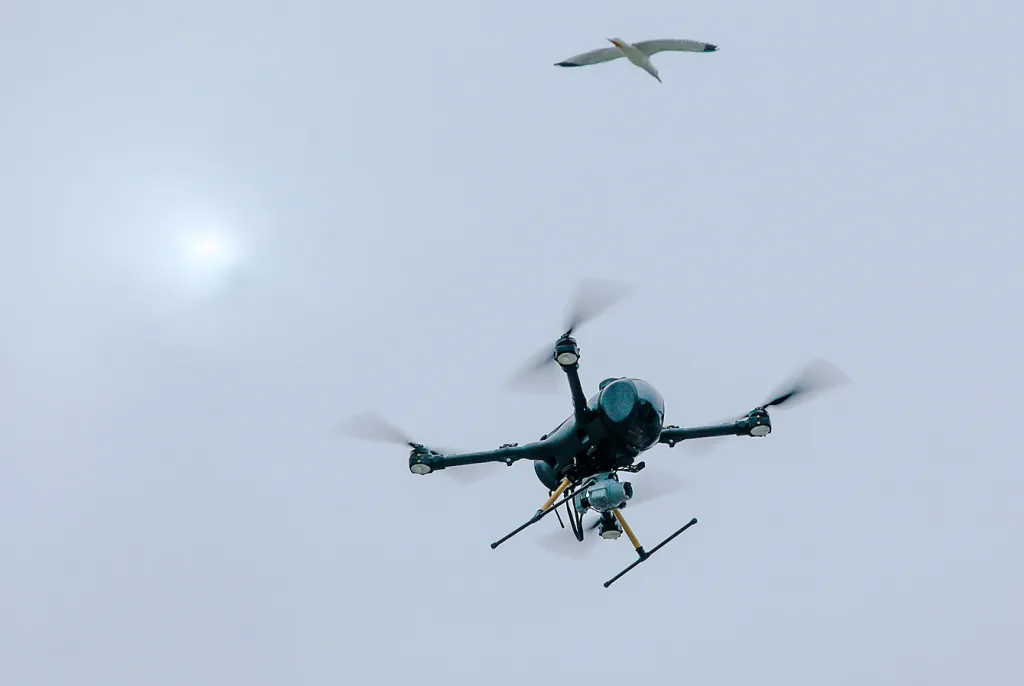 Дрон ГИБДД.jpg Дрон ГИБДД.jpg