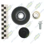 1023015-36D Ролик натяжителя FAW J5/J6 плоский AST